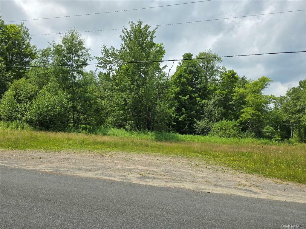 Property Photo:  McIntosh Road  NY 12733 