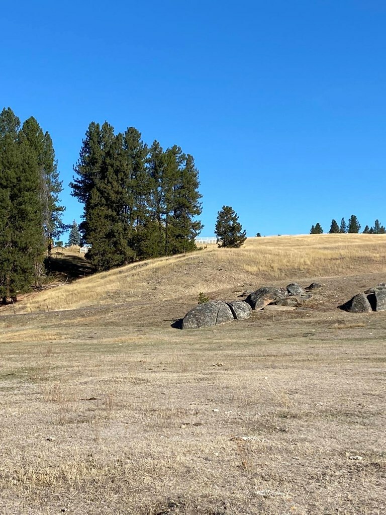 Property Photo:  Lot 8 Empty Saddle Way  ID 83615 