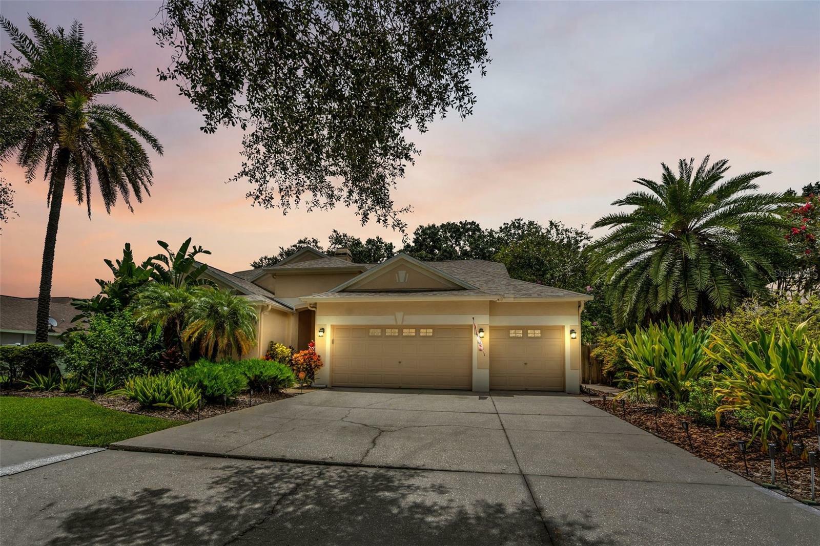 Property Photo:  12521 River Birch Drive  FL 33569 