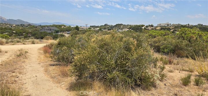 Property Photo:  1011 Roan Way  CA 92536 