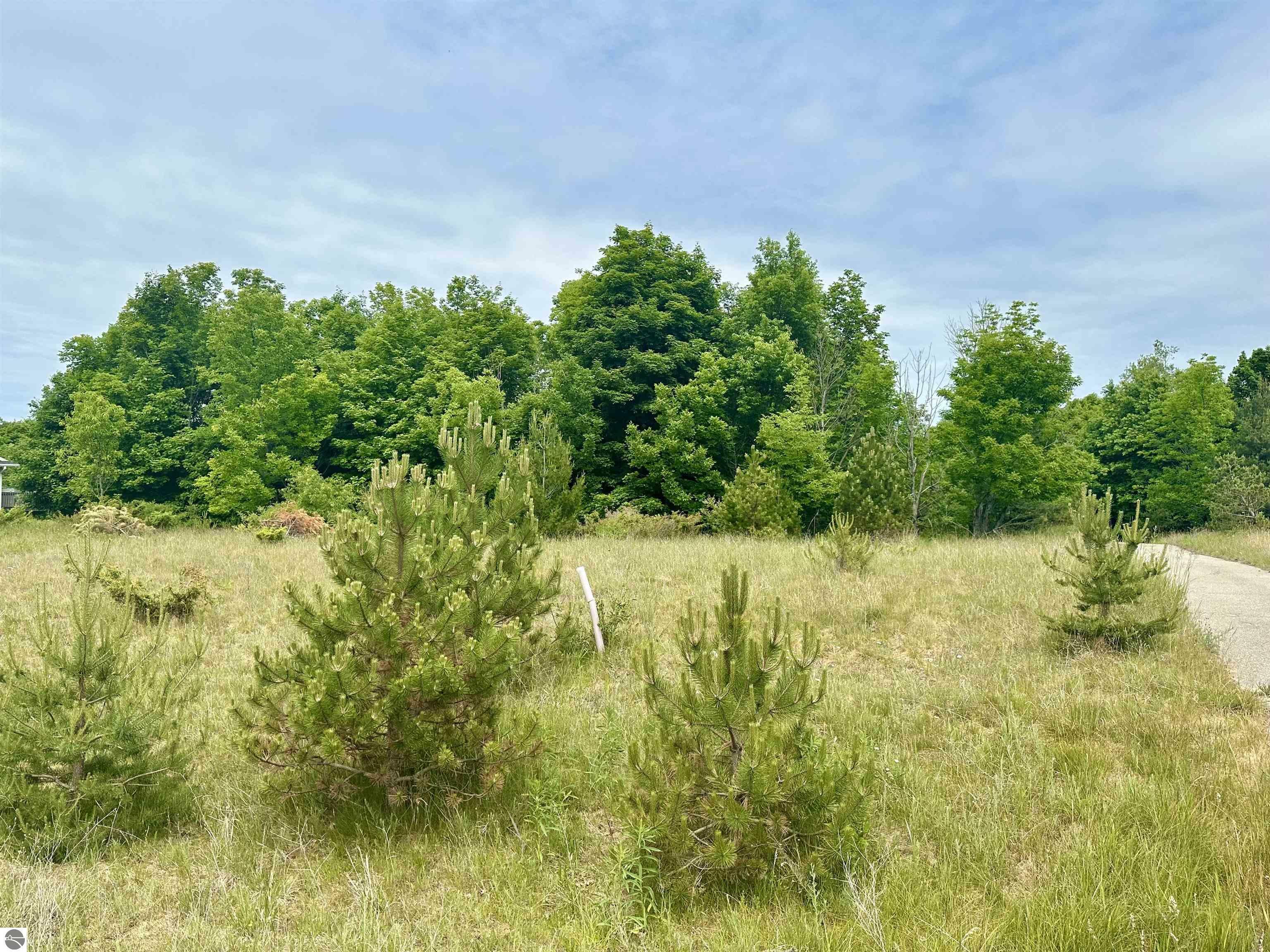 19 High Meadow Trail  Frankfort MI 49635 photo