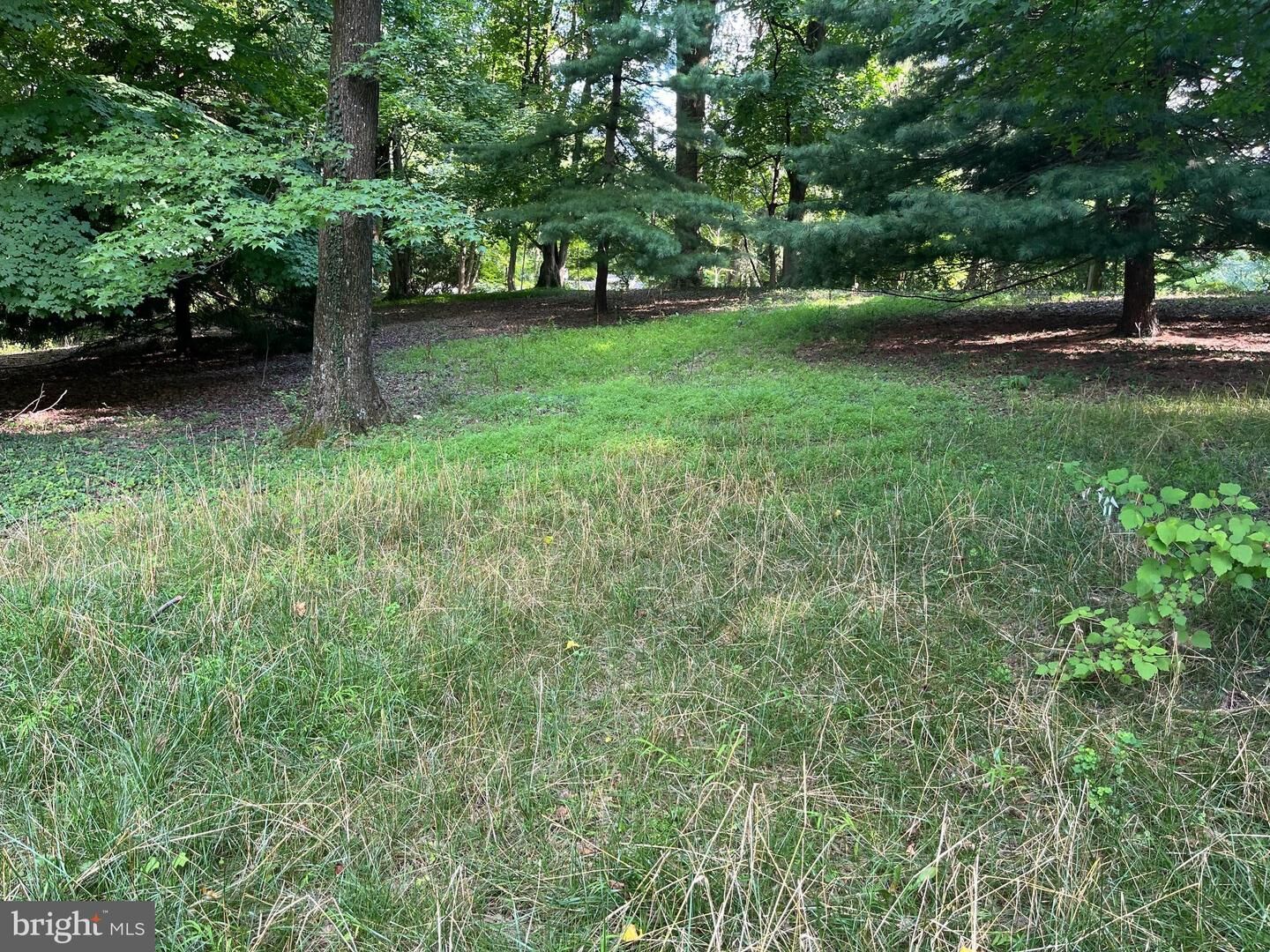 Property Photo:  917A Rolandvue  MD 21204 