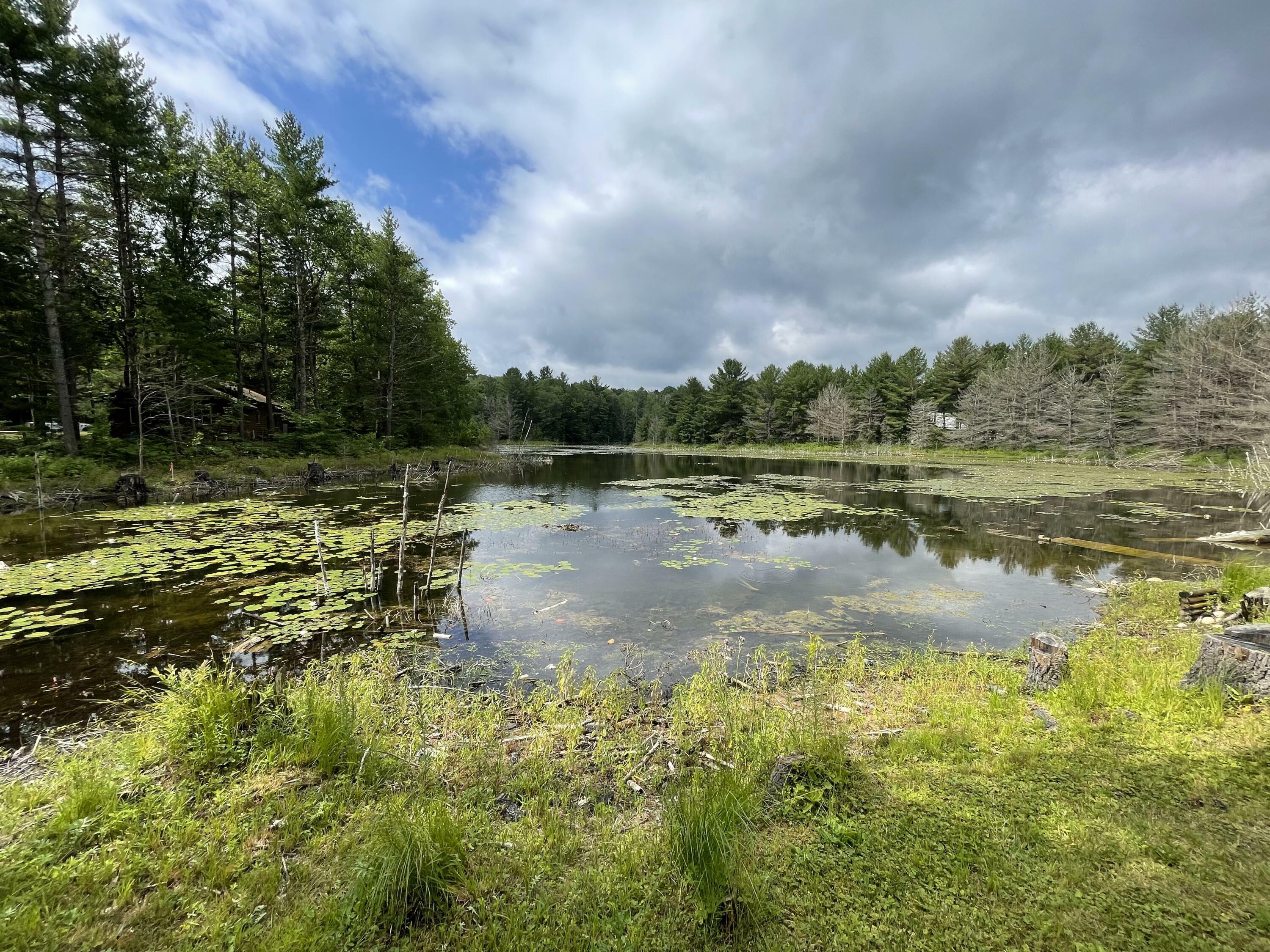 Property Photo:  Shiawassee Trail  MI 49735 