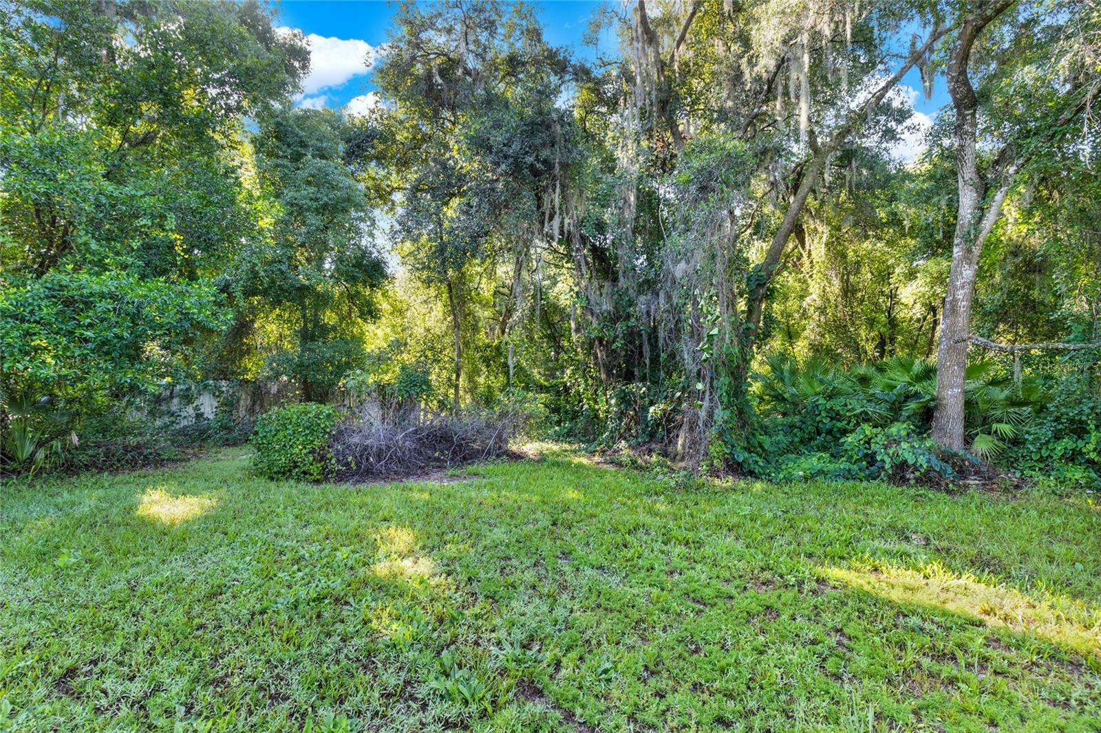 Property Photo:  SE 157th Street  FL 32784 