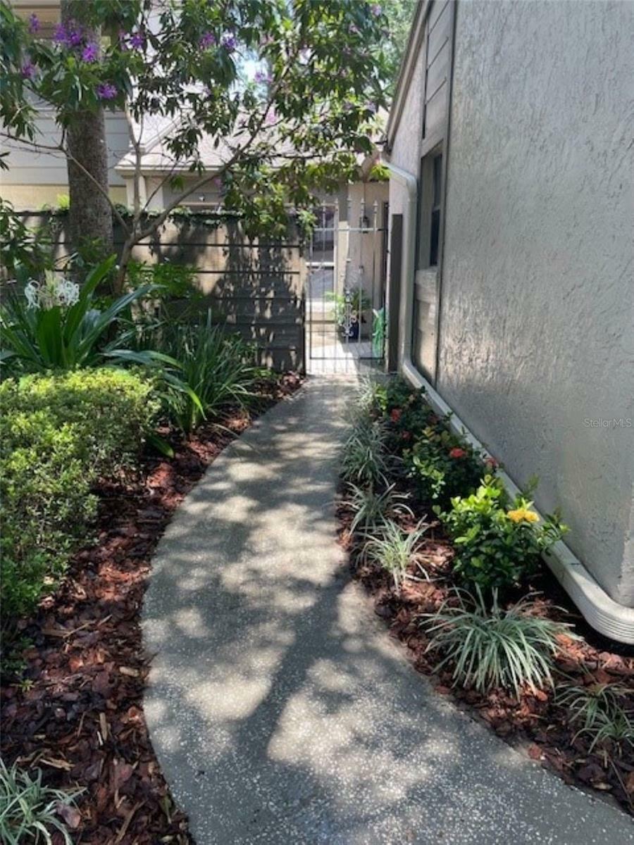 Property Photo: 313 Dryberry Way FL 32730