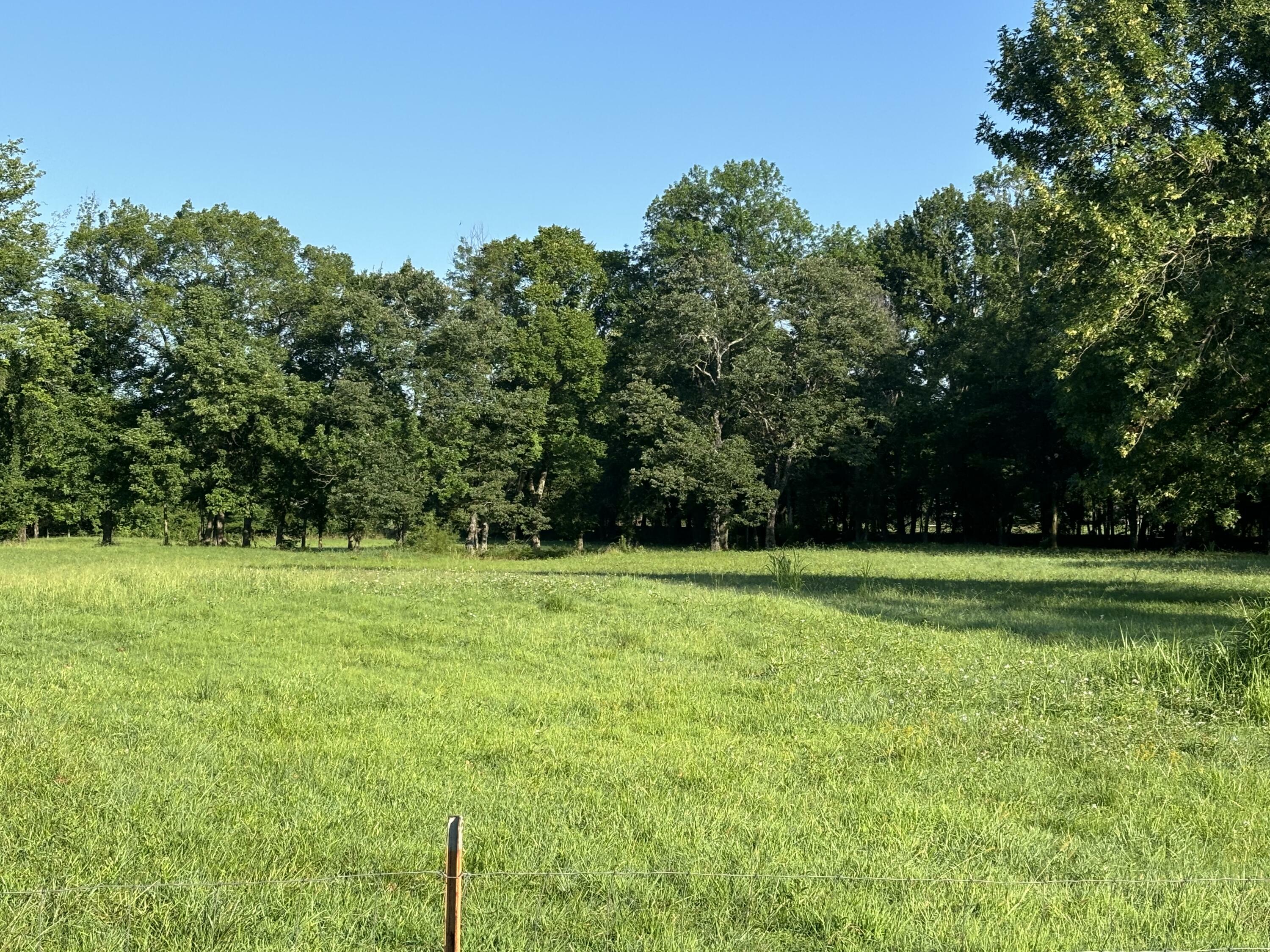 Property Photo:  000 Jimmy Lile Road  AR 72802 