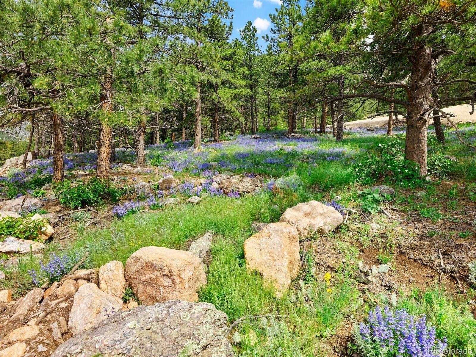 Property Photo:  7 Canyon Pines Drive  CO 80403 