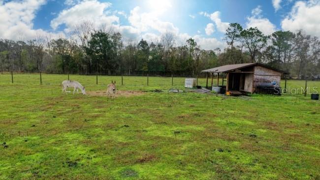 Property Photo:  1850 Sloans Ridge Road  FL 34736 