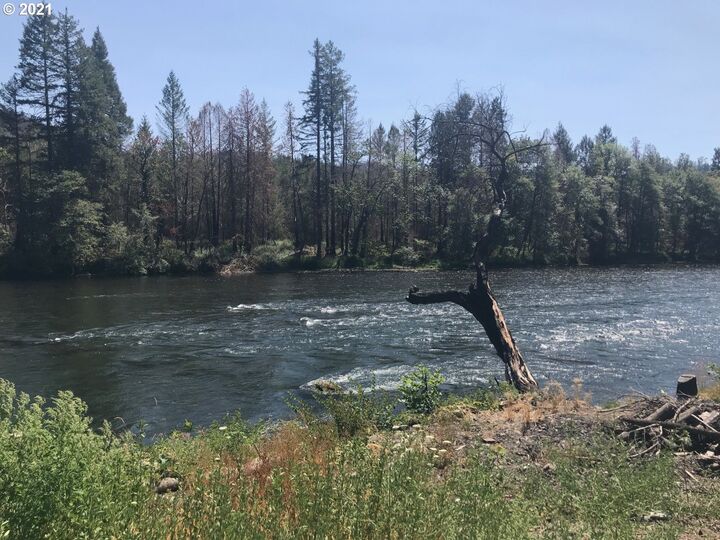 Property Photo: 49752 McKenzie Hwy OR 97488
