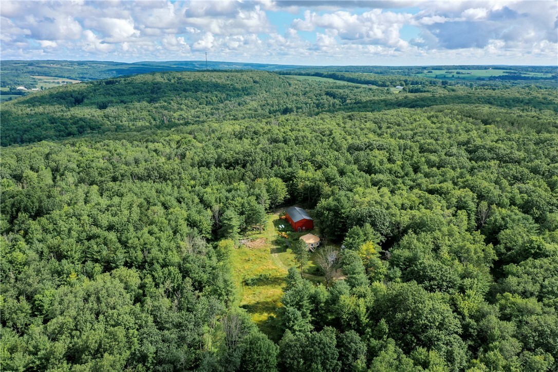 Property Photo:  10565 Van Neel Trail  NY 14873 