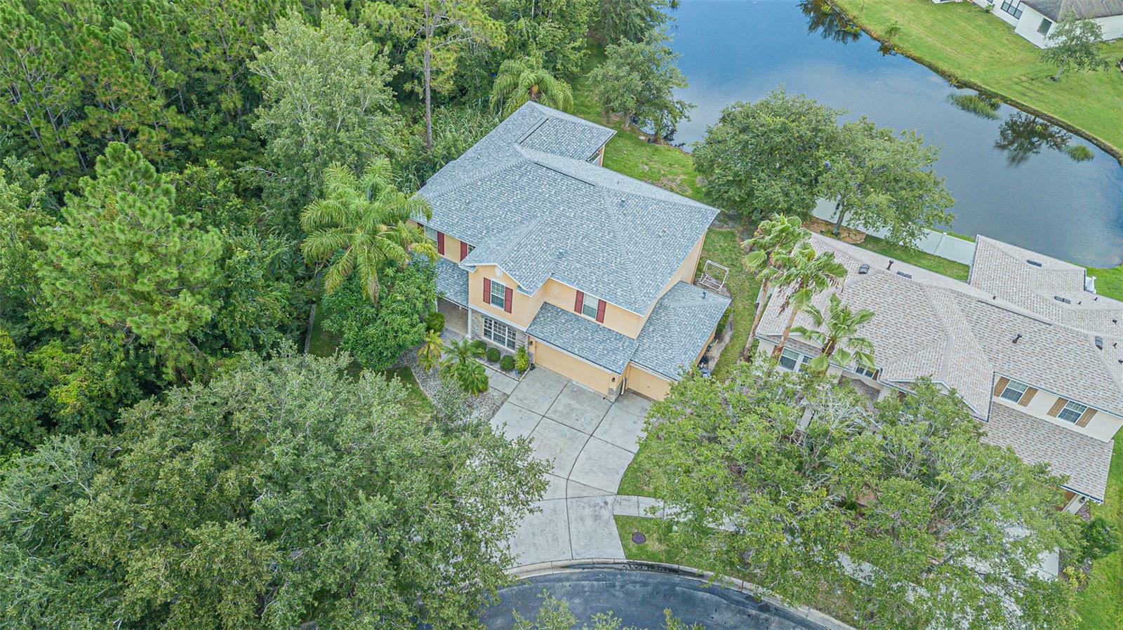 Property Photo:  16115 Colchester Palms Drive  FL 33647 