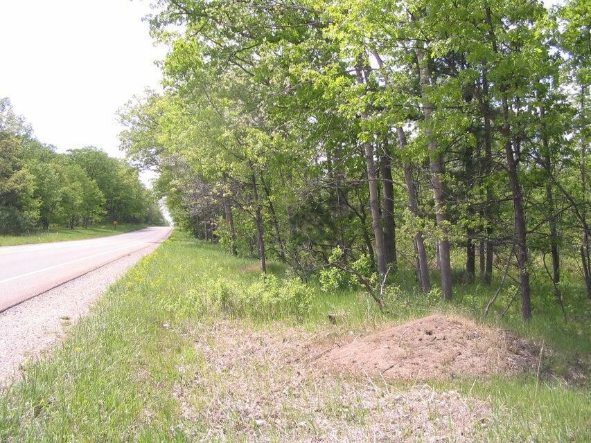 Property Photo:  W Federal Highway 20 Acres  MI 48653 