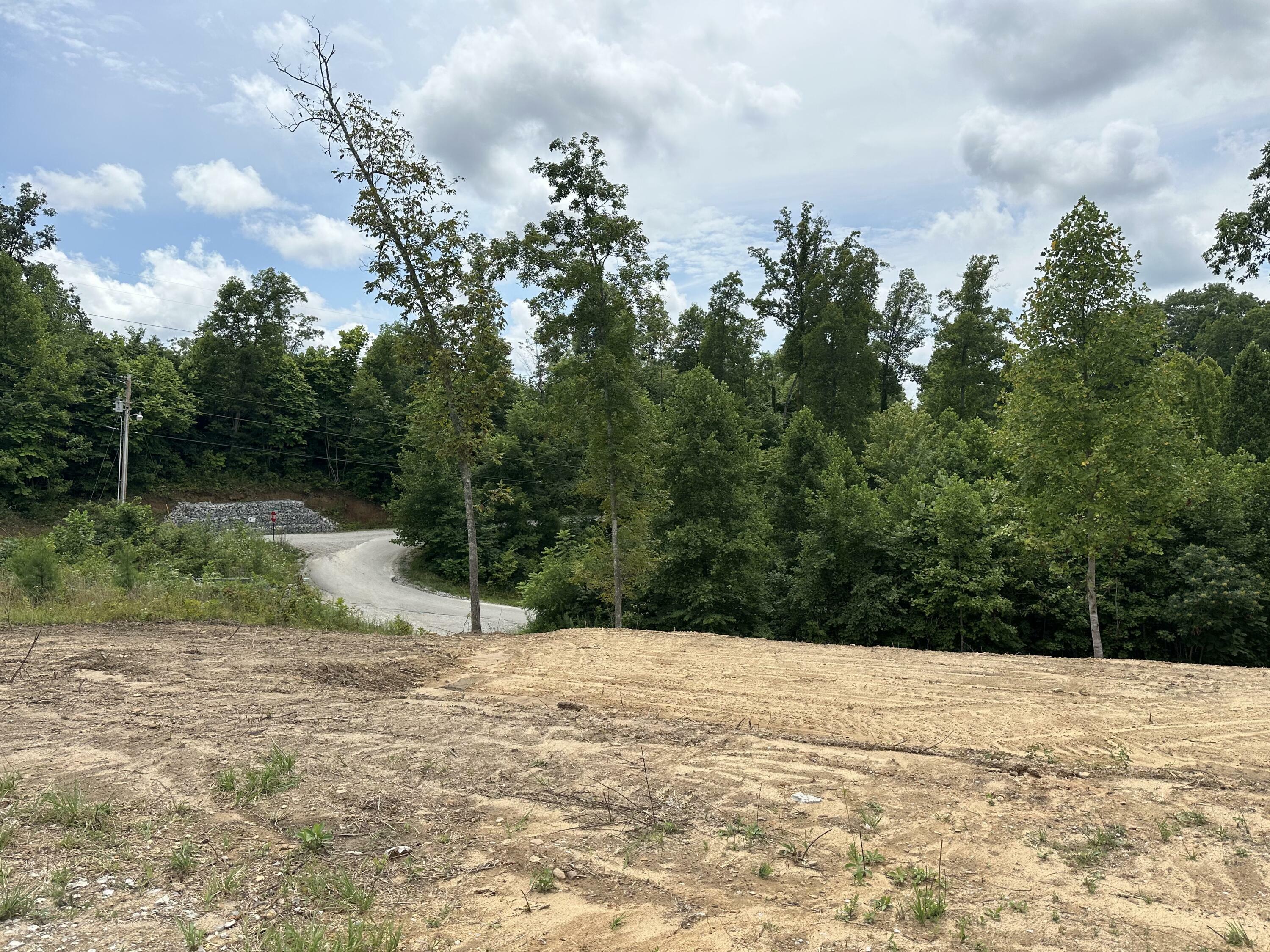 Property Photo:  Lot D Stella Lane  KY 40729 