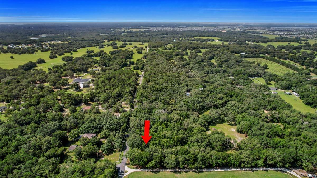 Property Photo:  37215 Rolling Acres Road  FL 32159 