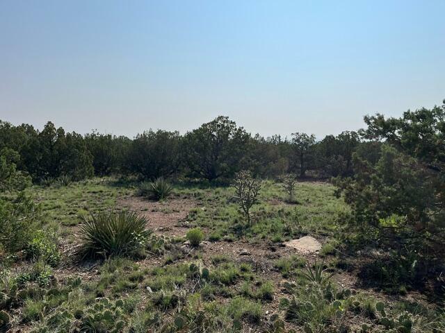 Property Photo:  24 Barbara Lane  NM 87015 