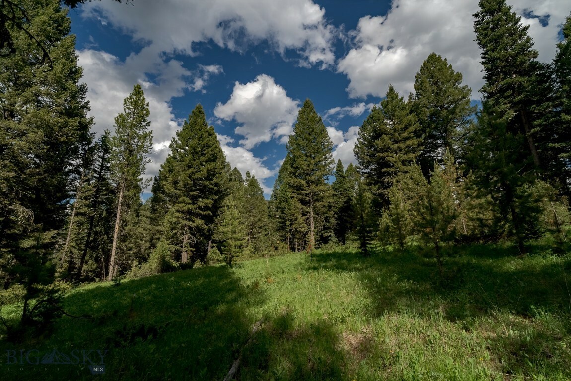 Property Photo:  Lot 29 Colters Run Loop  MT 59730 