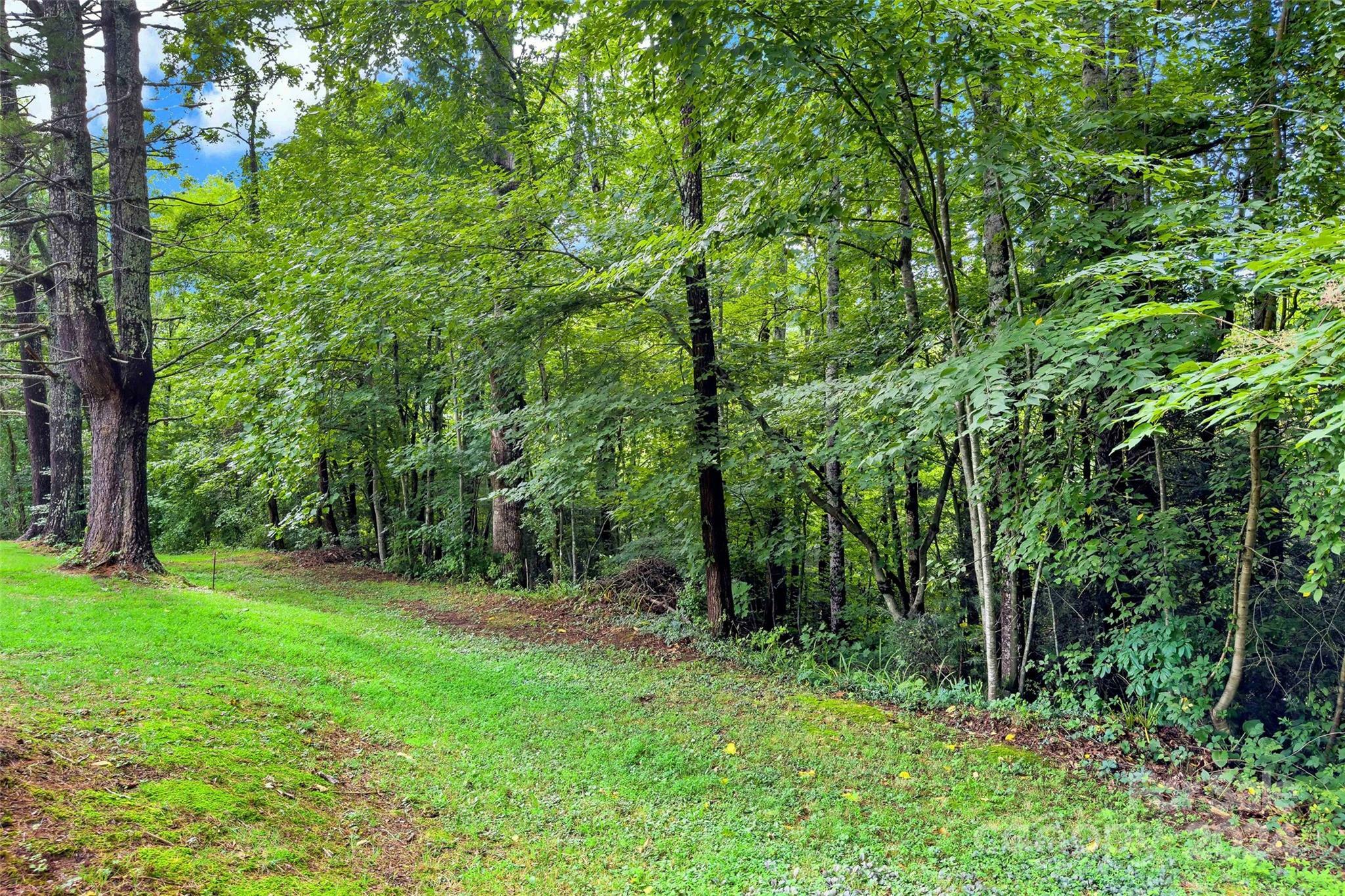 20 Rainbows End Road  Black Mountain NC 28711 photo