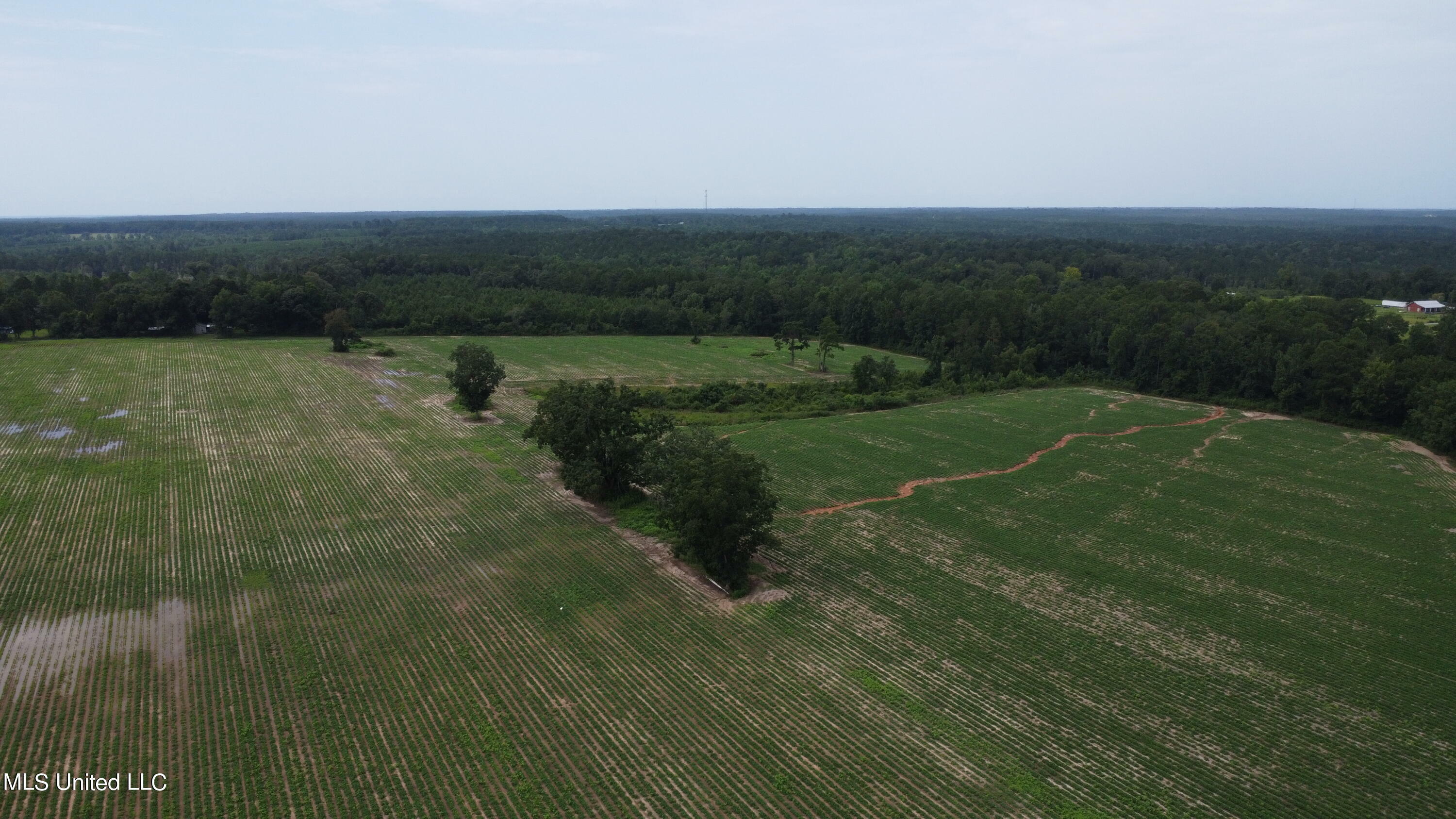 Property Photo:  56 +- Ac Highway 63 N  MS 39452 