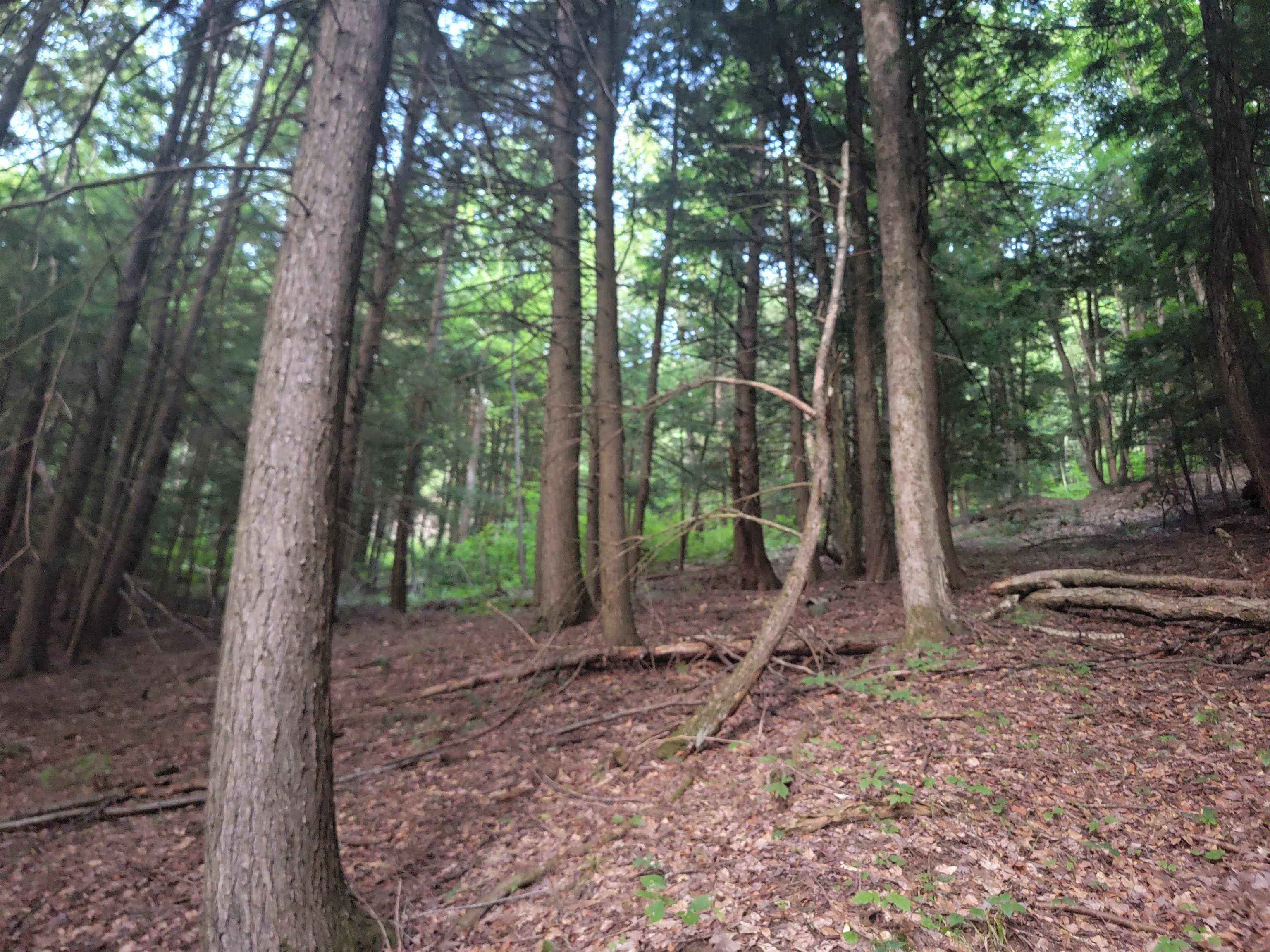 Property Photo:  Off Bemis Hill Road  VT 05158 