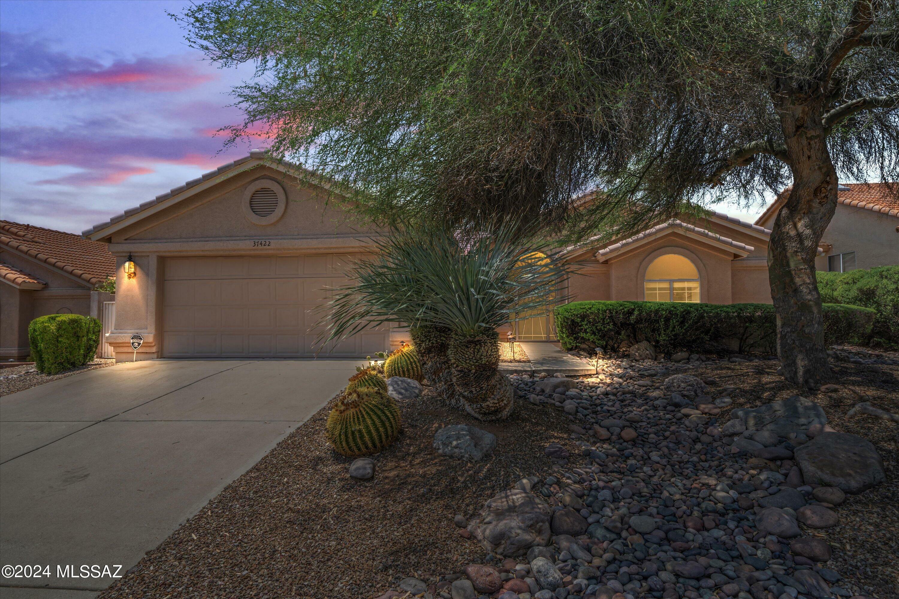 Property Photo:  37422 S Canyon View Drive  AZ 85739 