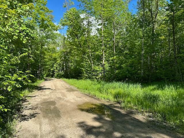 Property Photo:  0000 Deervine Trail NE  MN 56683 