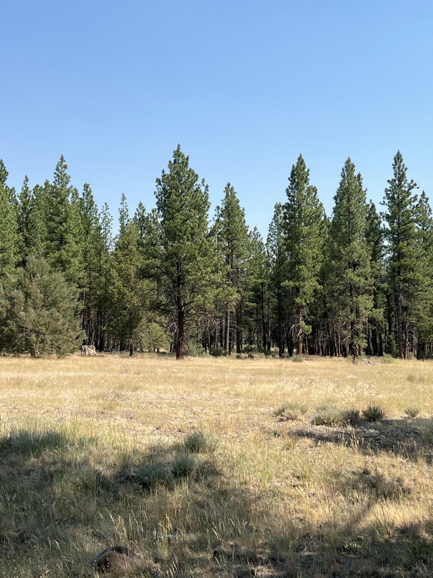 Property Photo:  Sprague River Parcels 324688  OR 97639 