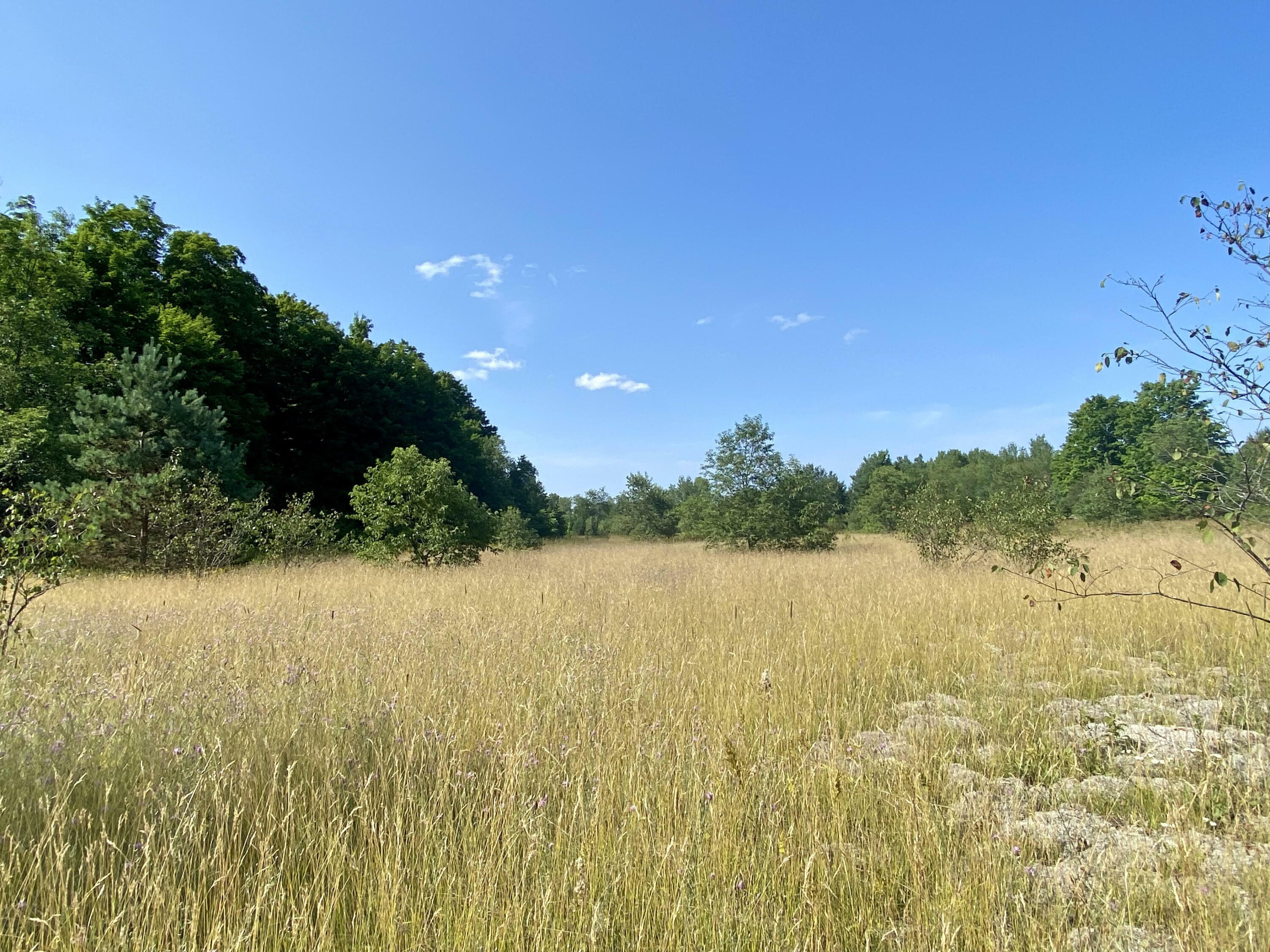 Property Photo: Van Tyle Road MI 49735