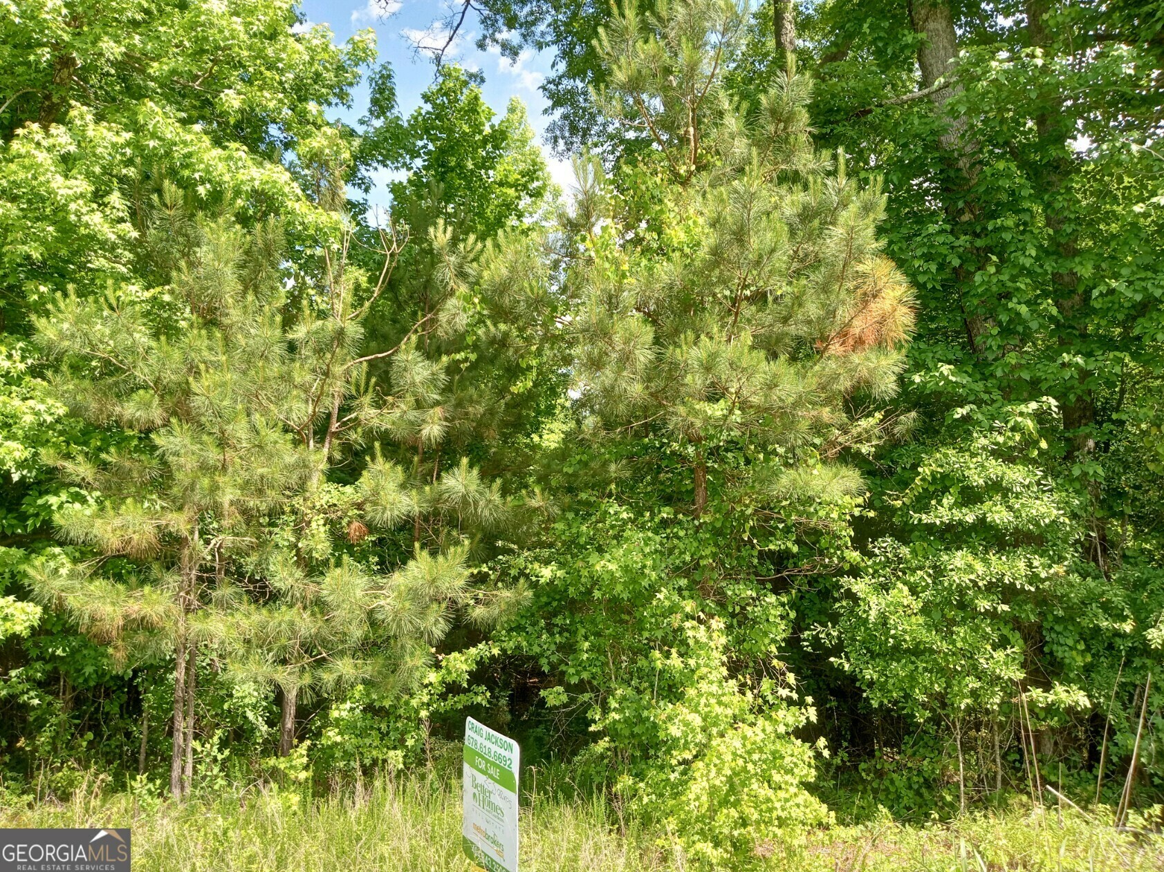 Property Photo:  00 Stovall Road  GA 30222 