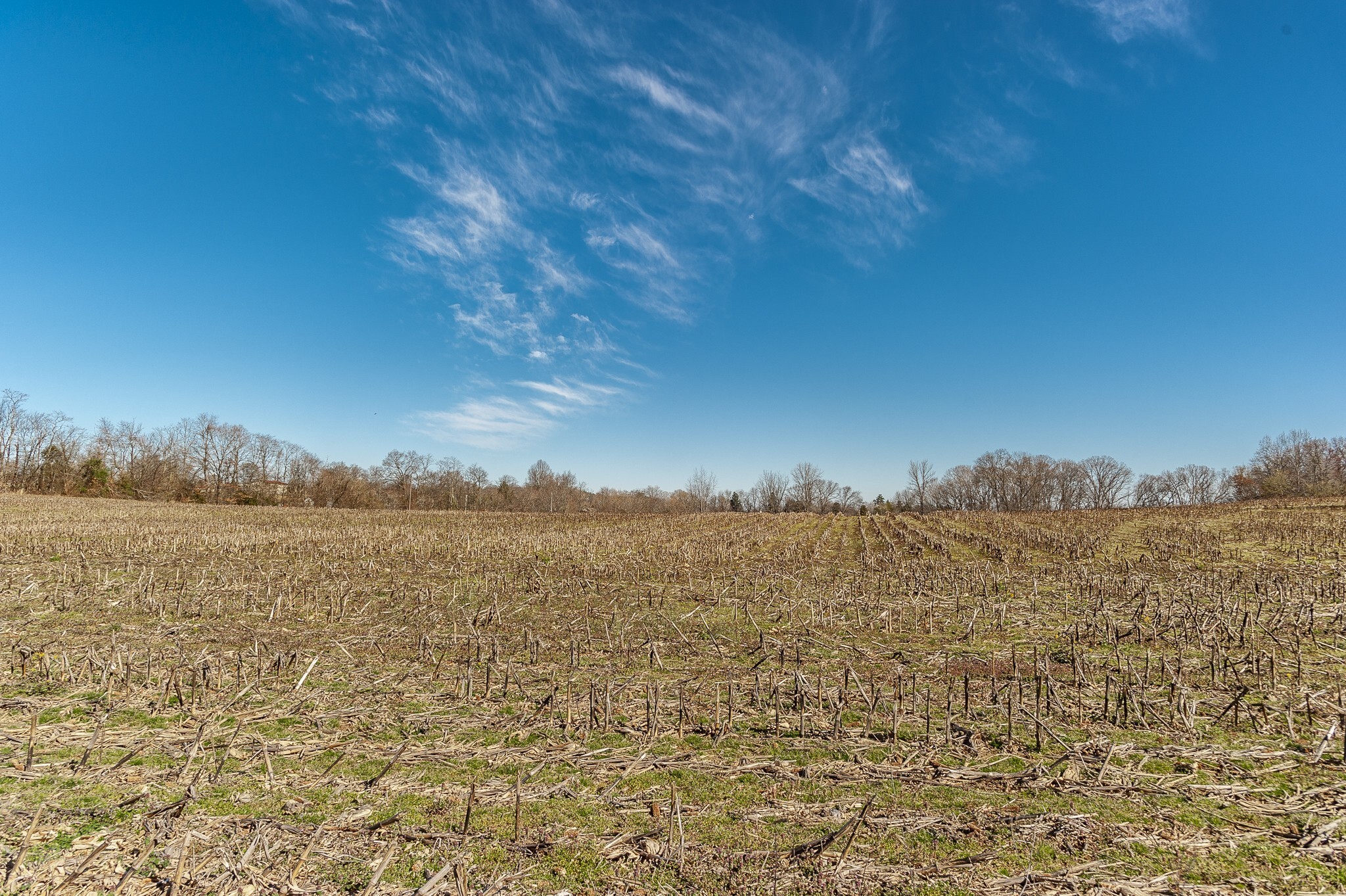 Property Photo: 0 52 Highway E Lots TN 37148