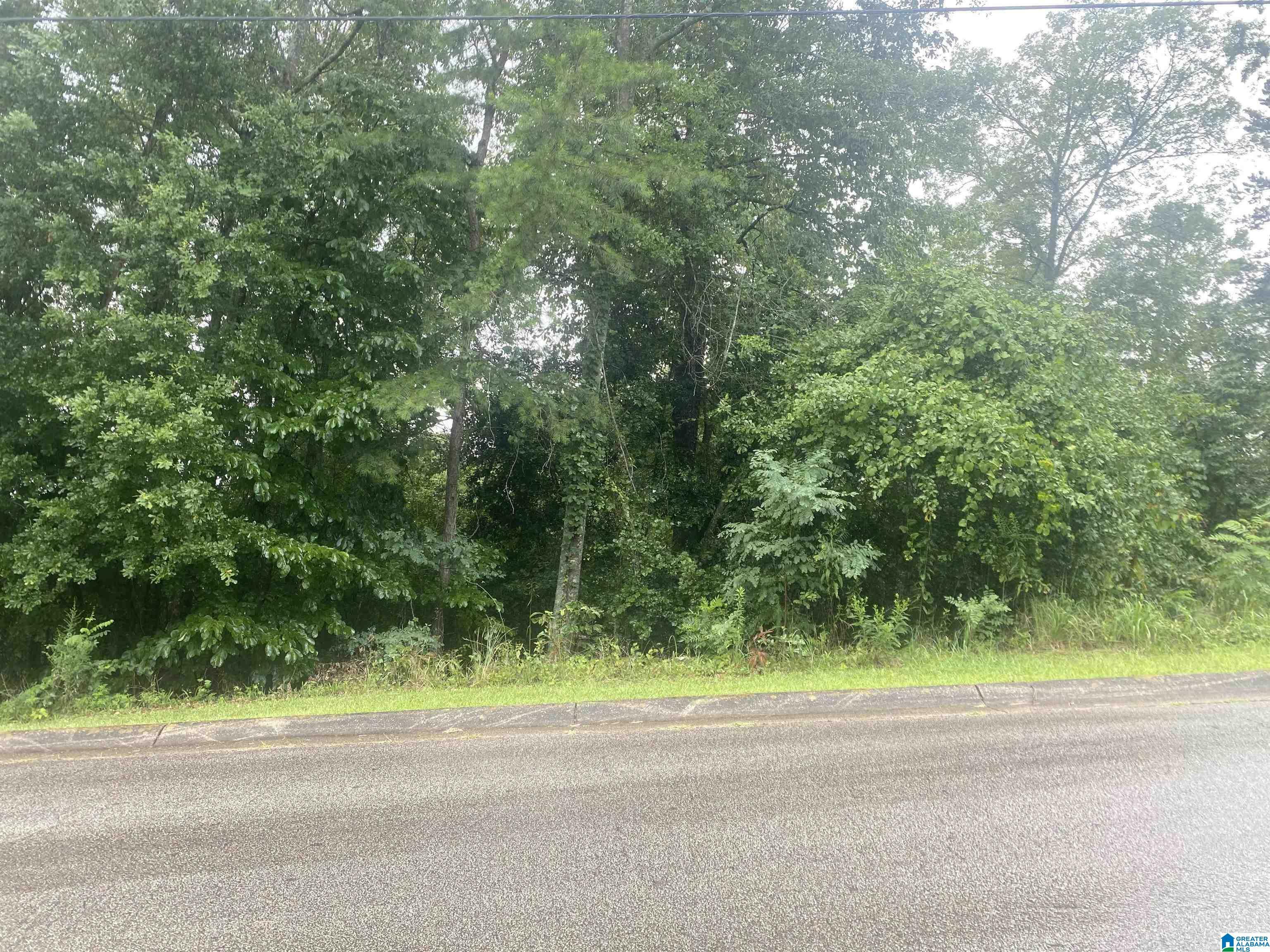 Lot 3 Hillyer High Road 3  Anniston AL 36207 photo