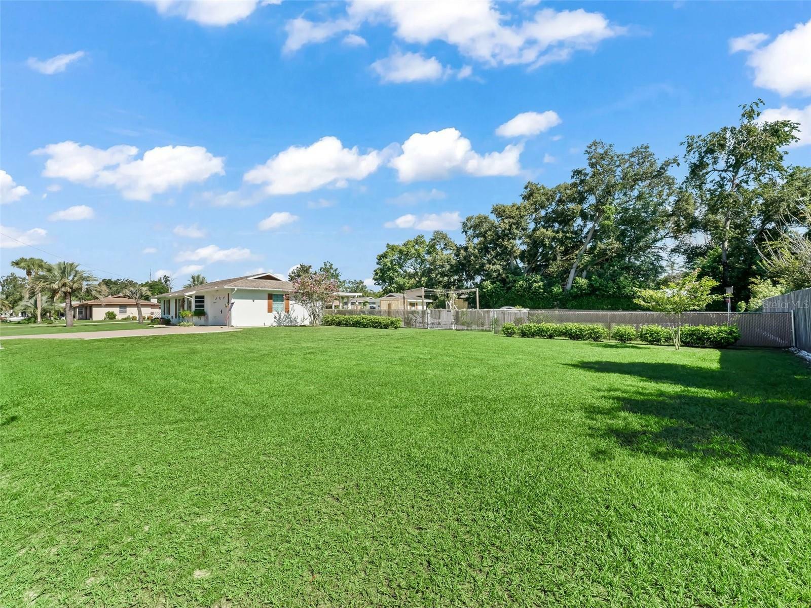 Property Photo:  21255 SW Raintree Street  FL 34431 