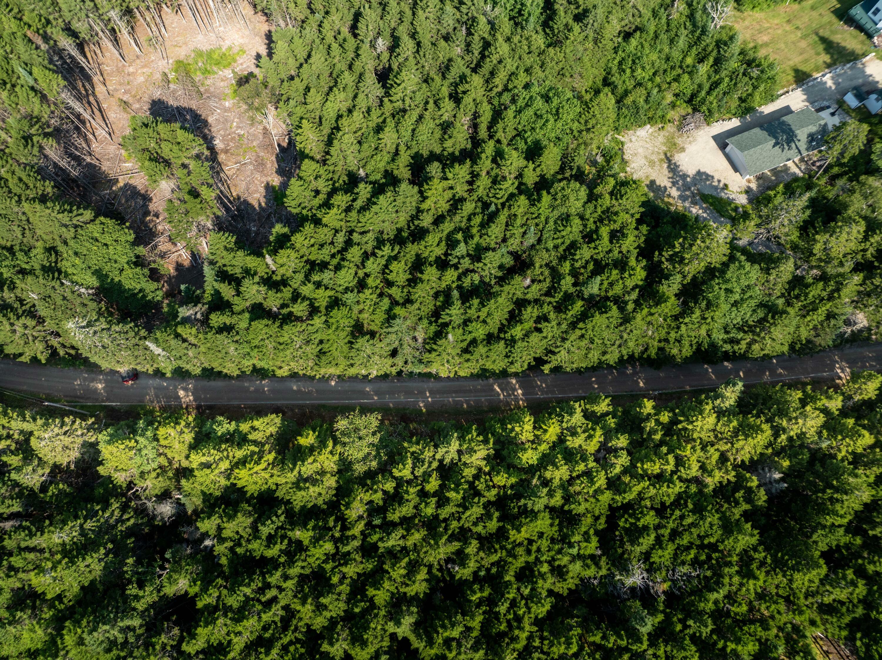 Property Photo:  Lot #70 Chambers Point Road  ME 04654 