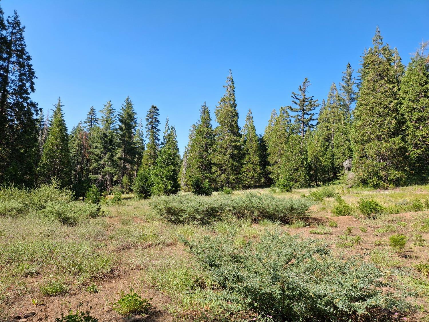 Property Photo:  19611 Marsh Mill Road  CA 95959 