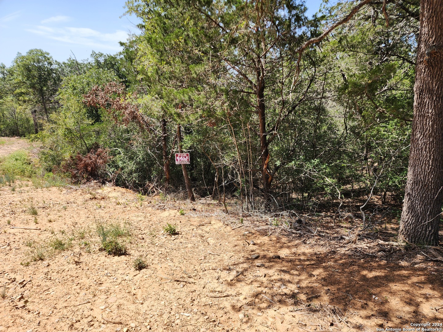 Property Photo:  Lot 310 Kalihi Court  TX 78602 