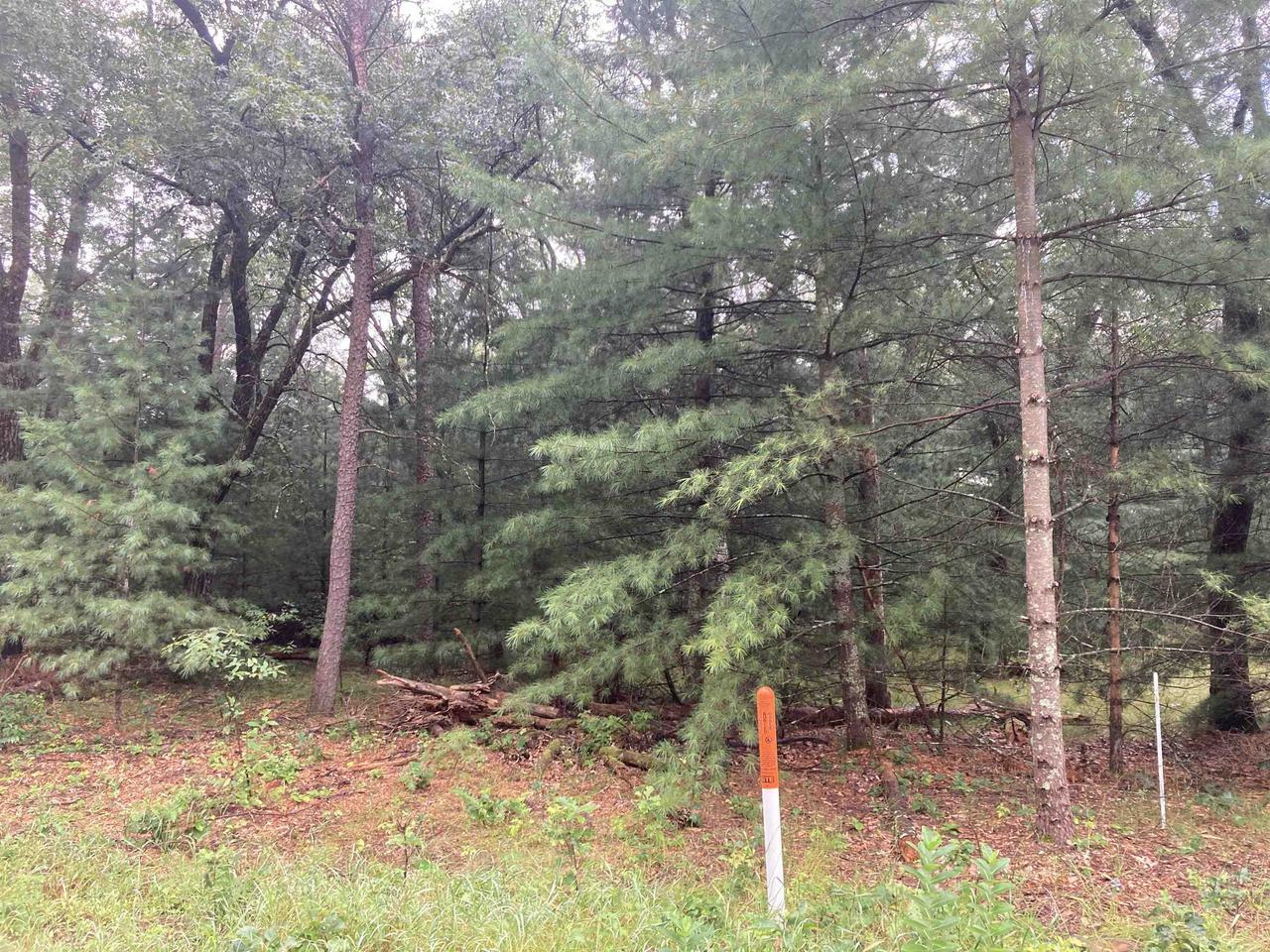 Property Photo:  Lot 51 Fern Drive  WI 53965 