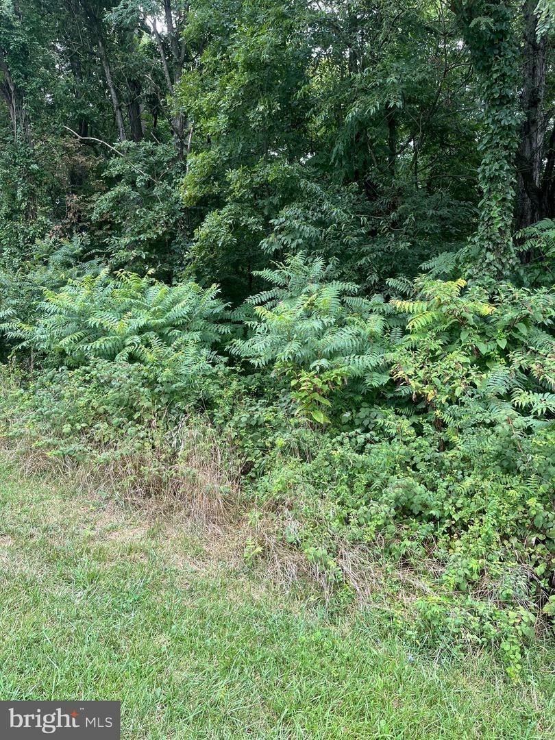 Property Photo:  Currie Road  WV 25438 