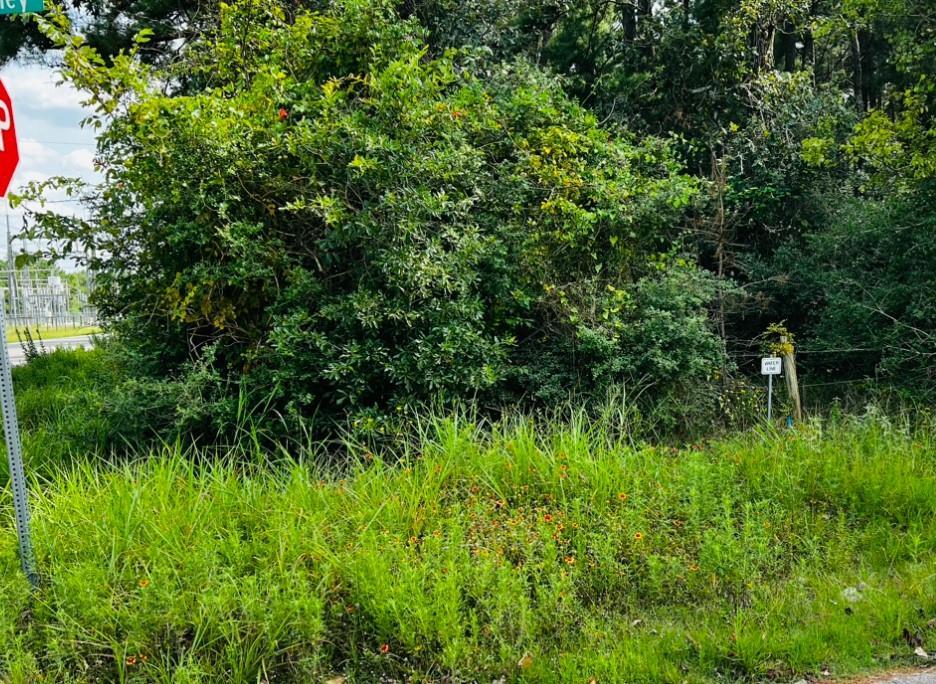 Property Photo: 23717 Pinewood Valley Drive TX 77447