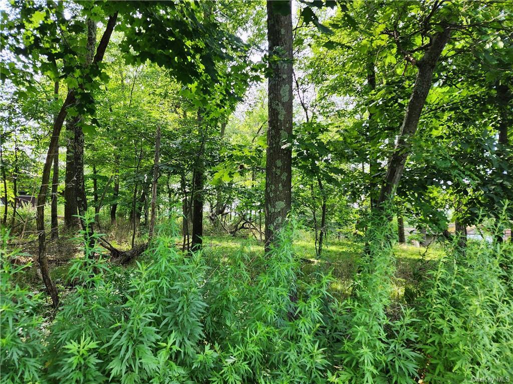 Property Photo: Kentview Drive NY 10512