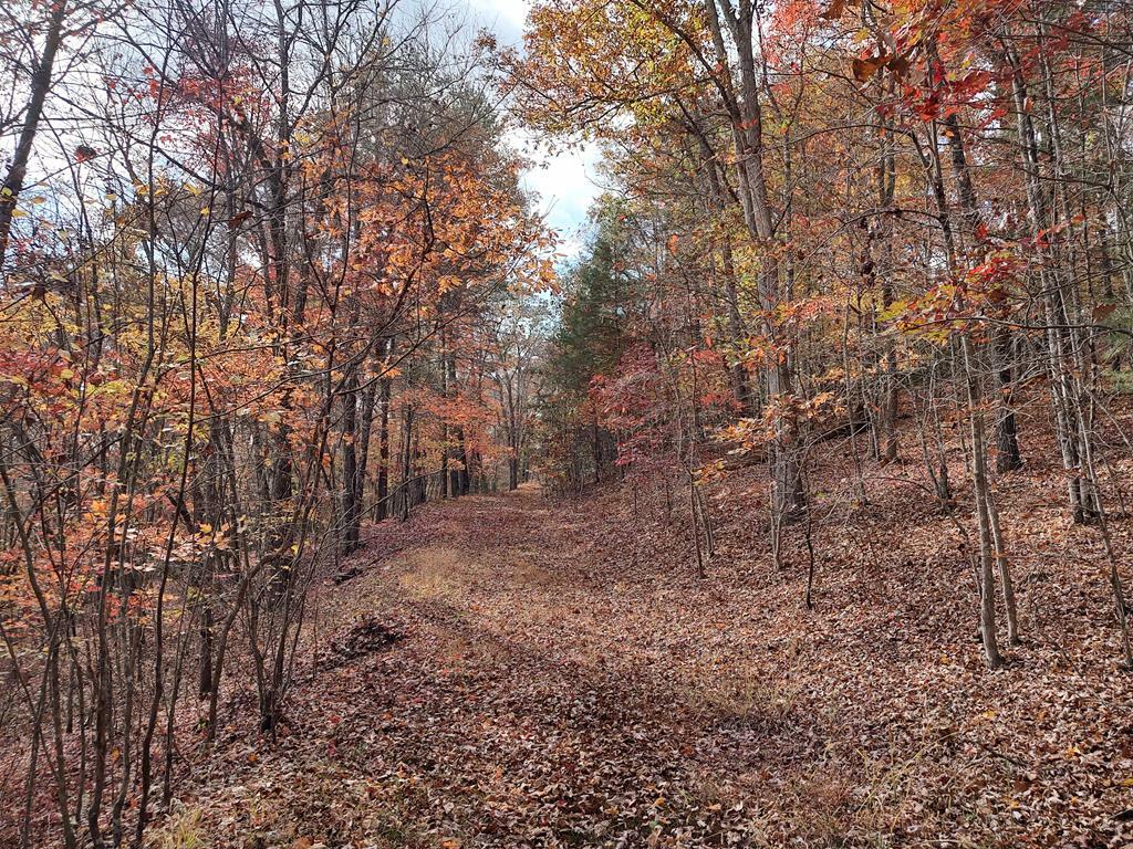 Property Photo: Lt 6 & 7 Cub Drive GA 30559