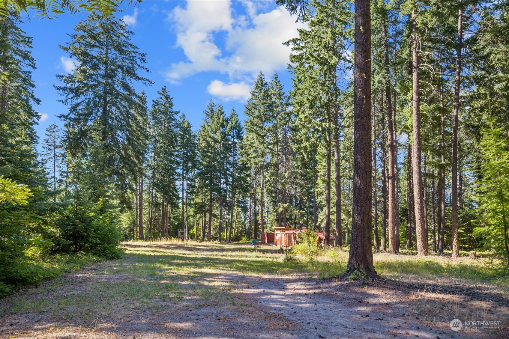 Property Photo:  730  Tall Pines Drive  WA 98922 