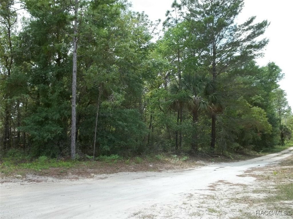 Property Photo:  7058 W Elmhurst Street  FL 34429 