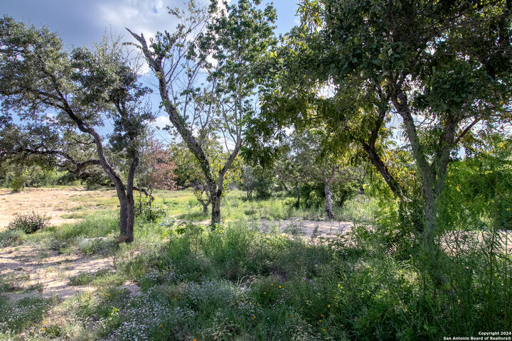 Property Photo: Lot 6 Messina Cyn TX 78255