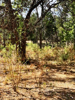 Property Photo:  716 Saint Delight Road  TX 78659 