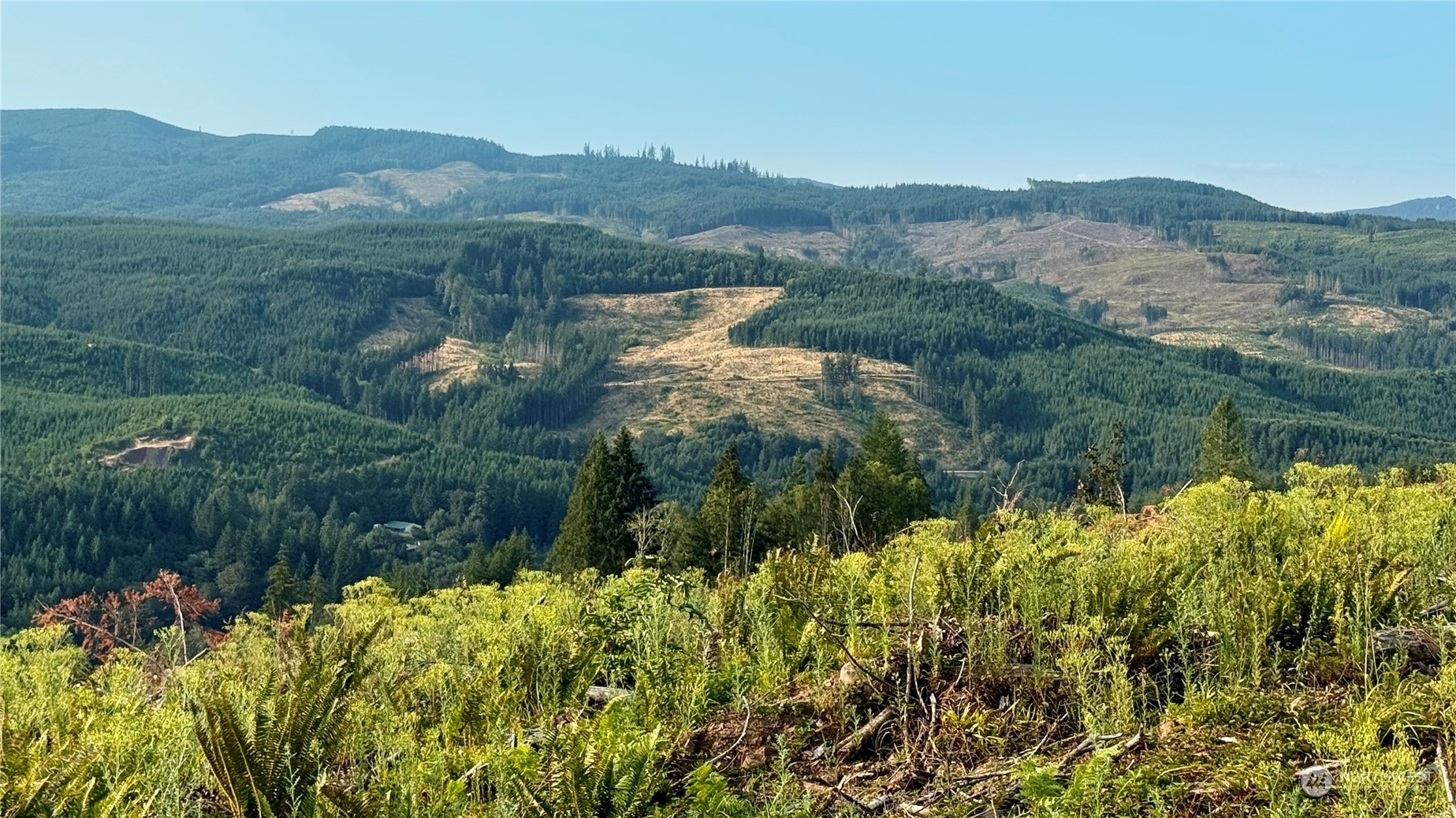 Property Photo:  3725 Little Kalama River Road C  WA 98584 