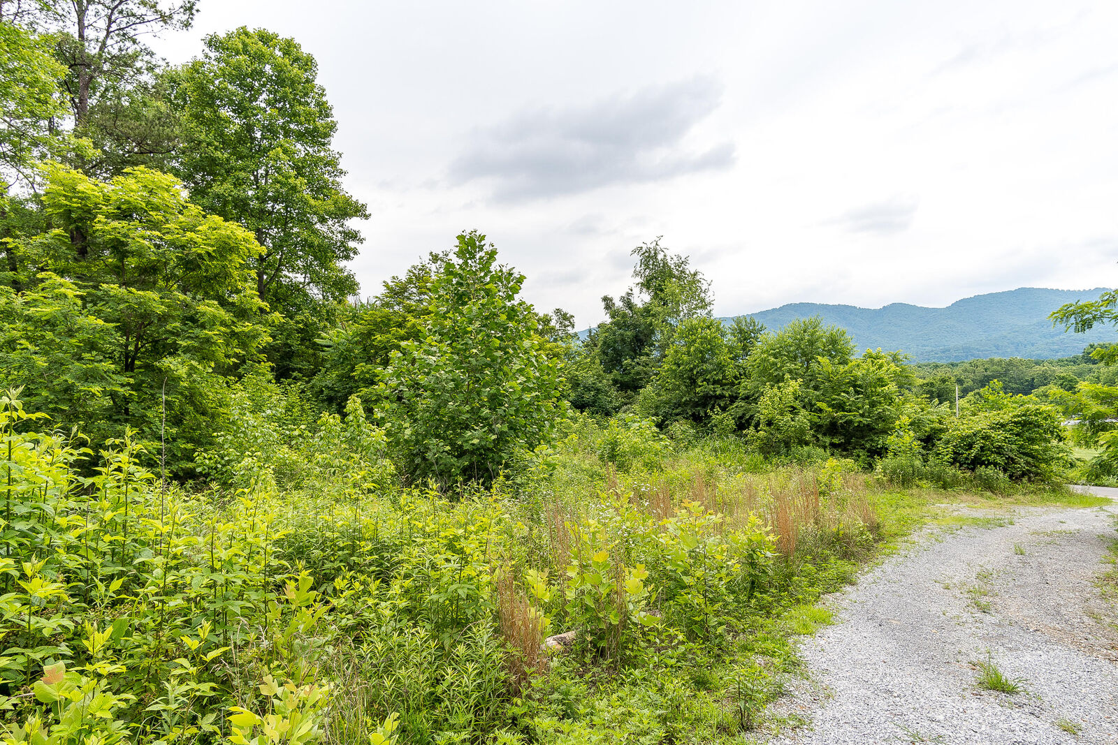 Property Photo:  Tbd Taylor Bridge Rd  TN 37659 