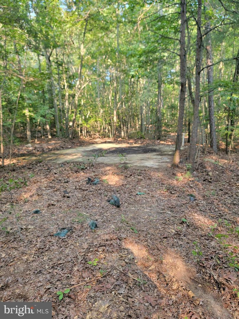 Property Photo:  Hermanville Road  MD 20653 