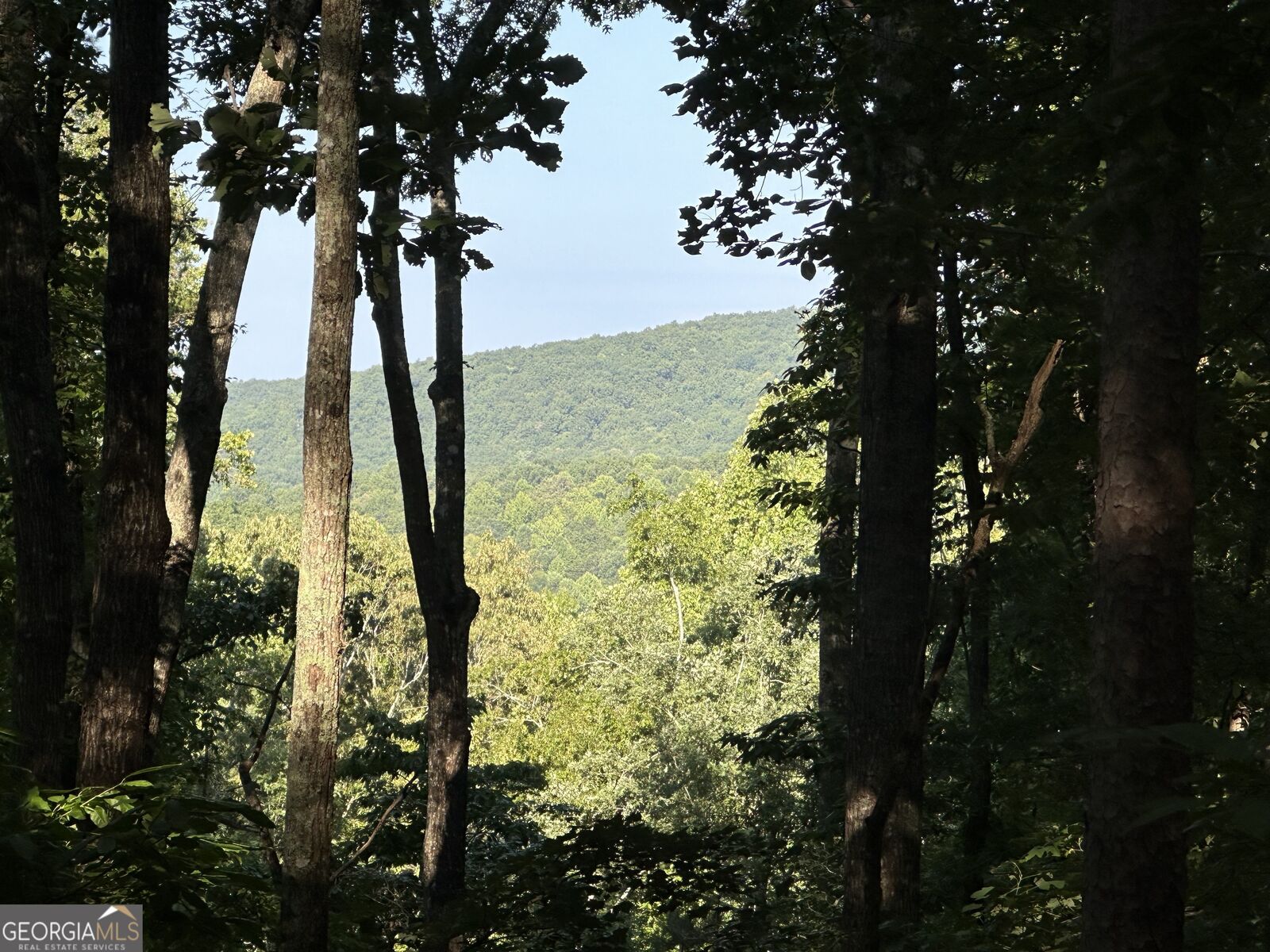 Property Photo:  Lt. 27R Tanager Trail  GA 30540 