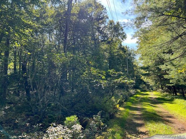 Lot 3.8 Proctor Road  Glen Spey NY 12737 photo