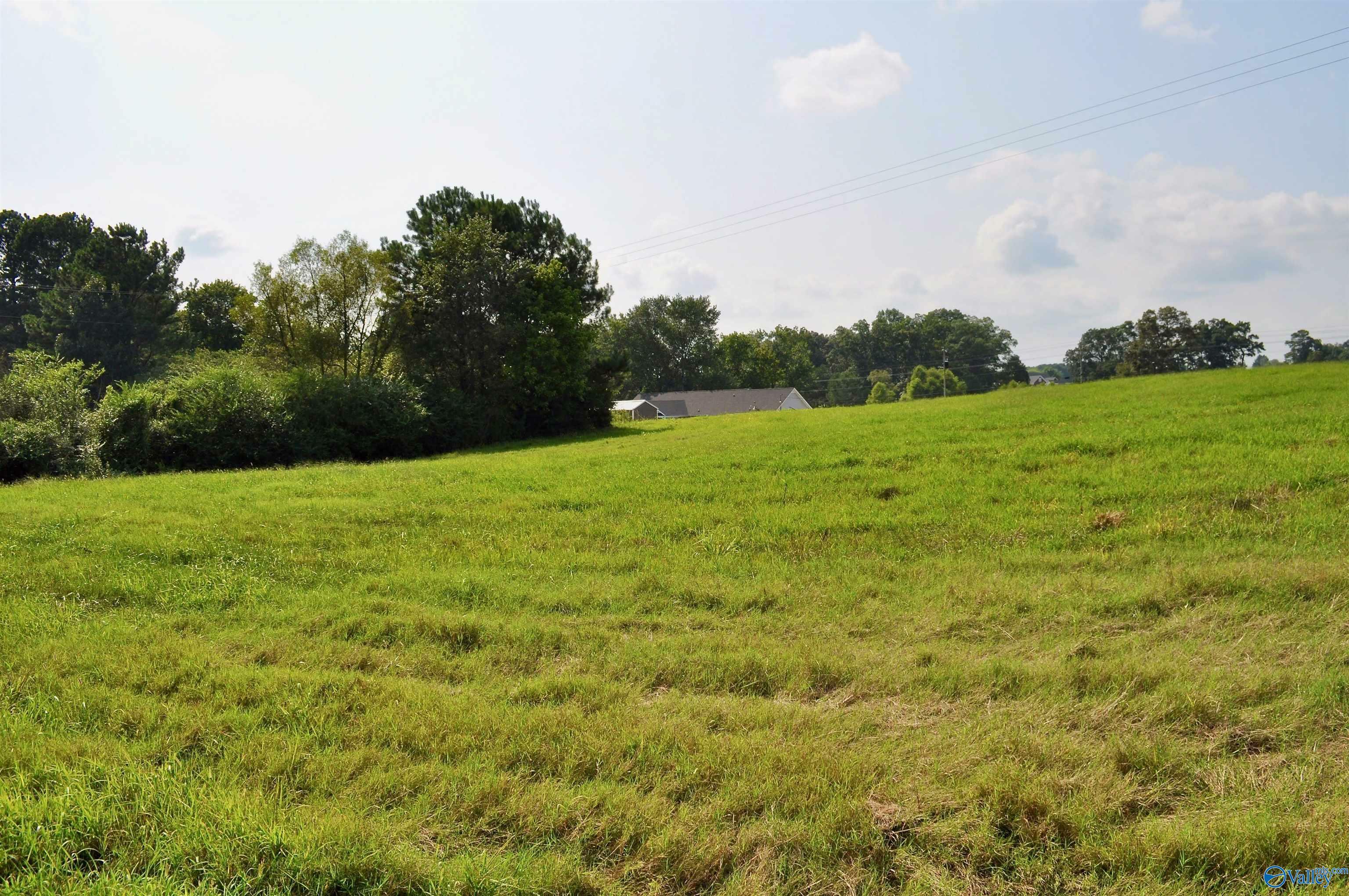 Property Photo:  Lot 4 Tiffany Drive  AL 35058 