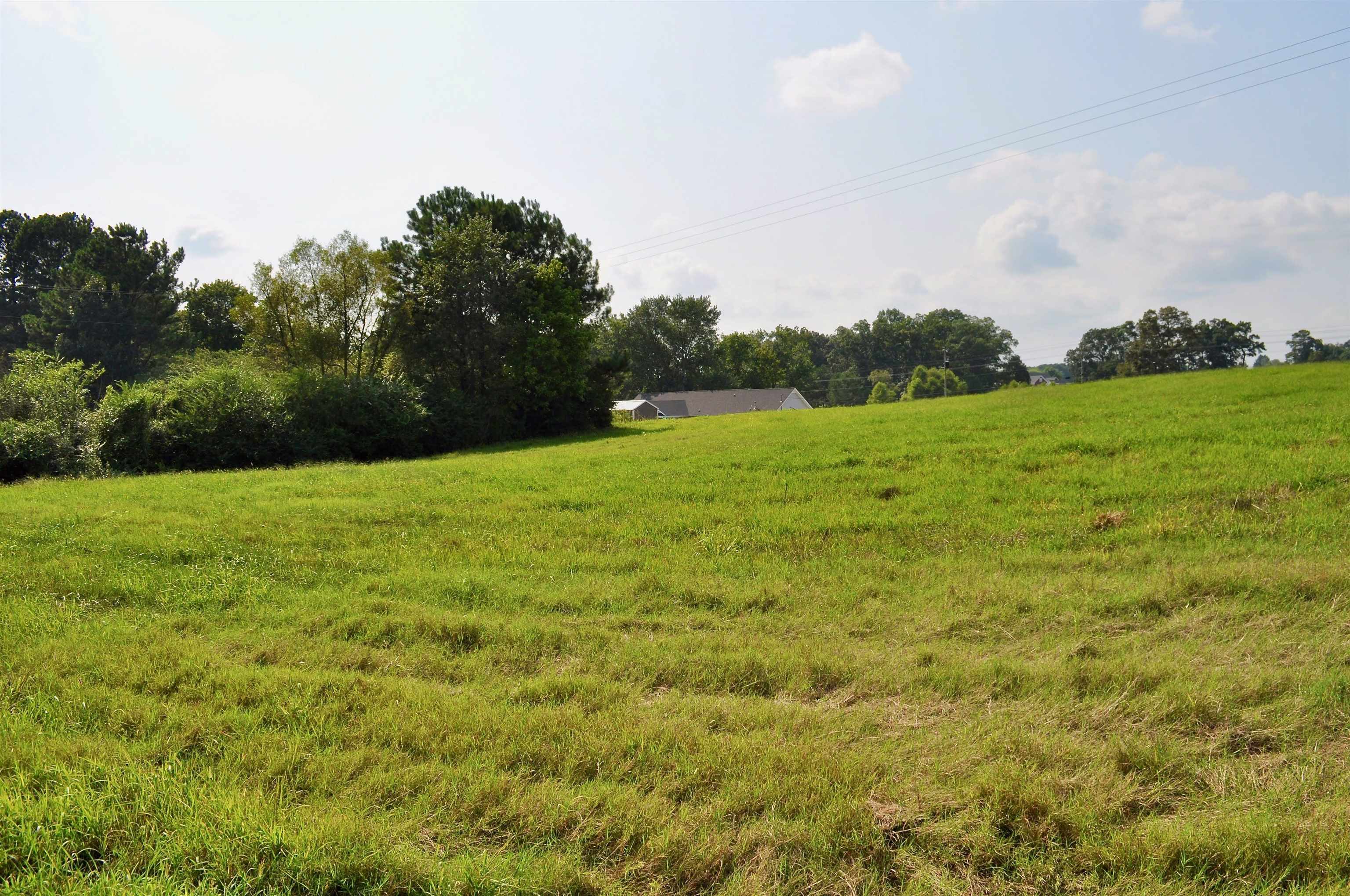 Property Photo:  Lot 4 Tiffani Dr  AL 35058 - CULLMAN 